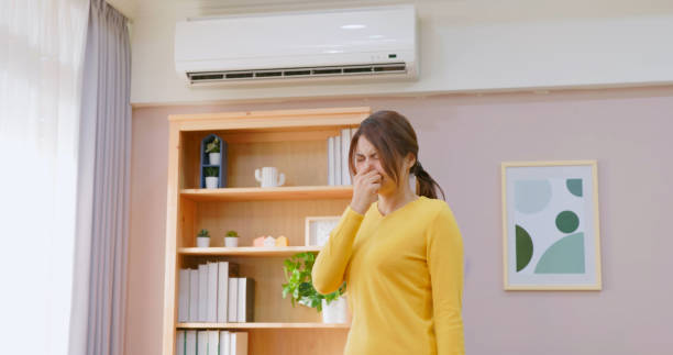 Swift Freshness: The Power of Express Ventilation Programs in Air Conditioners
