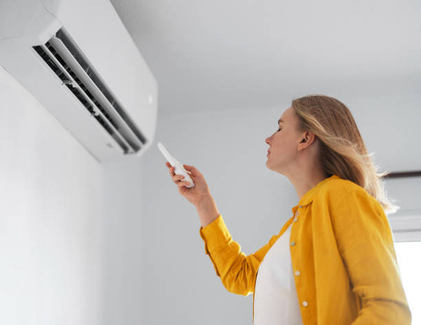 Creating the Ideal Microclimate: Review of Air Conditioners with Comfort Cooling Programs